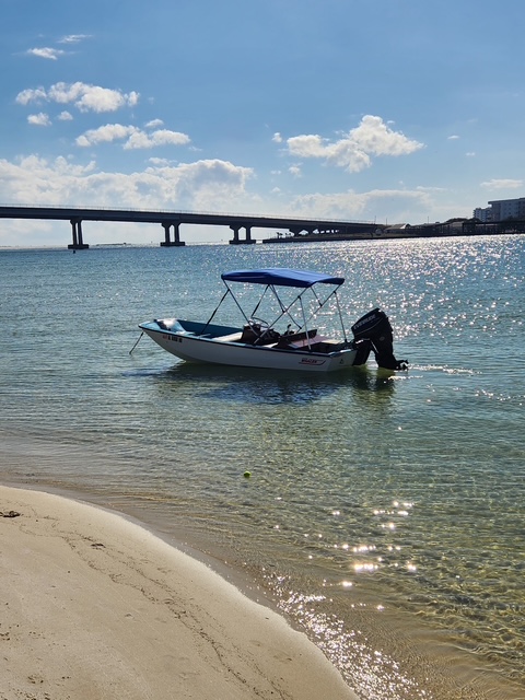 
								1964 Boston Whaler 13′ Sport full									
